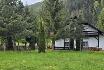Casă cu Teren 2000 Mp în Mălini - 18