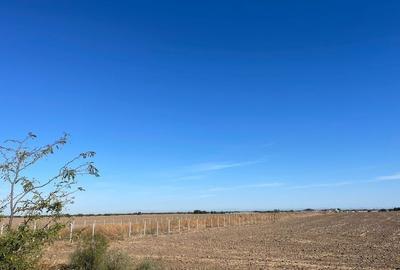 Teren Construcții intravilan de 5000 mp, în Jilava - 1