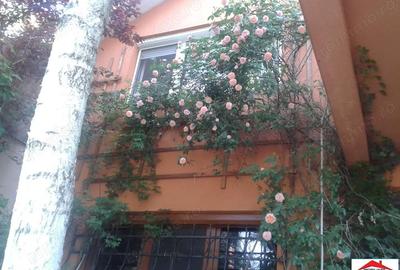 Casă cu 2 camere în Titulescu - 13