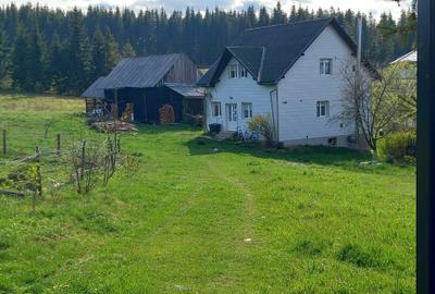 Casa de vanzare in Belis - 7