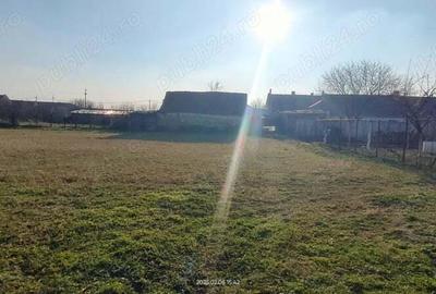 Casă cu 5 camere în Checea - 2