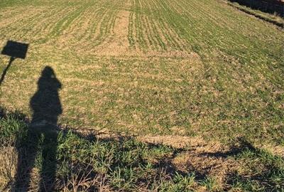 Spațiu comercial, în Băiculești - 2