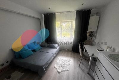 Apartament cu 2 camere semidecomandat, mobilat în Plopilor - 2
