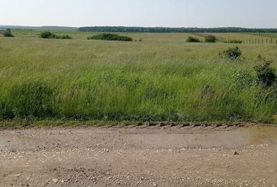 Teren de 550 mp, în Oșorhei - 4