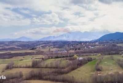 Spațiu comercial, în Predeluț - 8