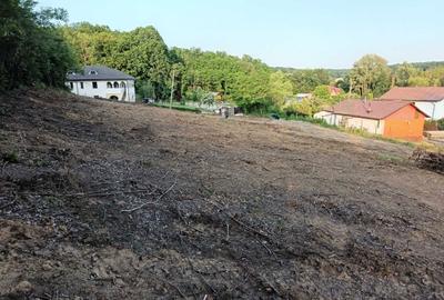 Spațiu comercial, în Nisipoasa - 3