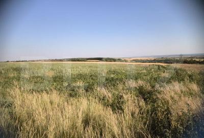 Teren 30.350 mp (600 mp intravilan) ideal investi?ie, C - 4