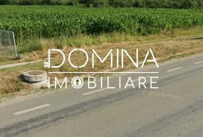 Teren Construcții de 5324 mp, în Nord - 2