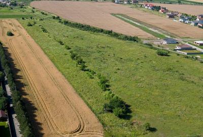 Loc de casa in Bujac - 5