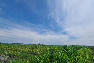 Teren intravilan de 510 mp, în Nazna - 3