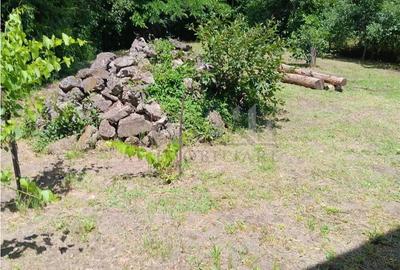 Casă cu 2 camere cu Canalizare în Copou - 4