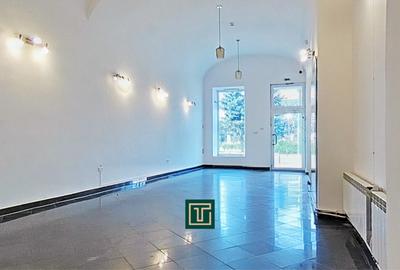 Spațiu comercial ultracentral de închiriat – Piața Avram Iancu, Arad - 3