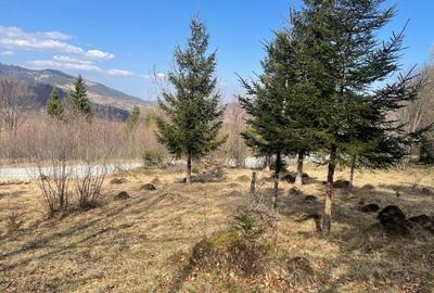 Casă individuală cu 7 camere cu Canalizare în Rogojel - 9