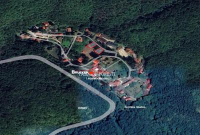 Teren în Pădurea Neagră - 2