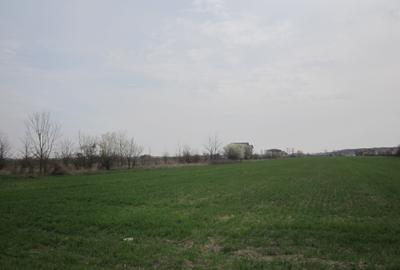 Teren Construcții intravilan de 646 mp, în Domnești - 2