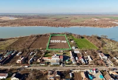 Dridu teren pe malul lacului 16500 mp - 3