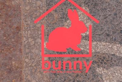DISASTER RENOVATION PROJECT - House located in a quiet area of Bucharest - 6