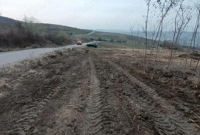 Teren de 5000 mp, în Central - 1