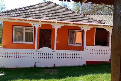 Casă cu 4 camere cu Teren 3600 Mp în Obislavu - 8