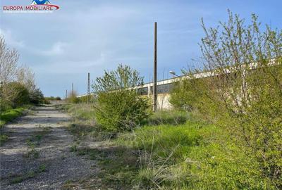 Ferma de in localitatea Bestepe Ferma de in localitatea Bestepe - 9