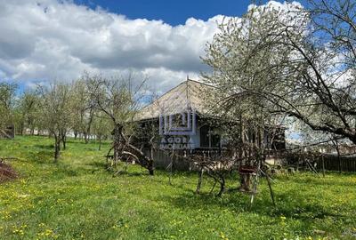 Teren de 4872 mp, în Antoceni - 2