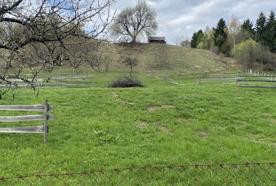 Spațiu comercial, în Mureșenii Bârgăului - 2