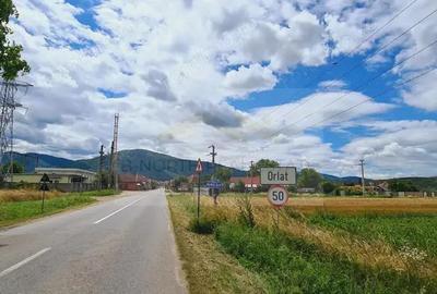 Pensiune/ Vila de vanzare Orlat Sibiu - 15