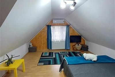 Casa superba de vanzare in Fantanele - 14