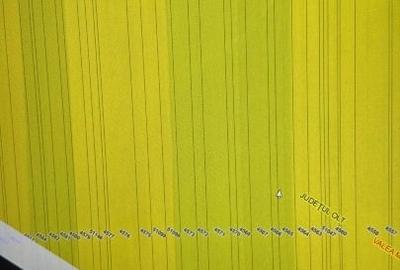 Teren agricol extravilan de 17000 mp, în Priseaca - 2
