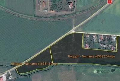 Teren de 80000 mp, în Sud - 2