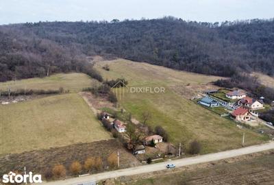 Casă cu 2 camere cu Teren 2200 Mp în Bereni - 4