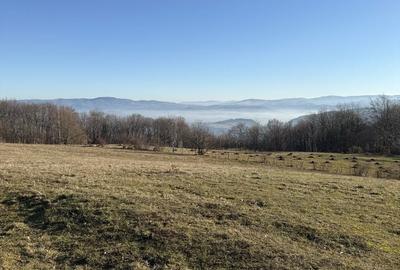 Spațiu comercial, în Șuncuiș - 9