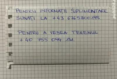 Teren de 20000 mp, în Bencecu de Sus - 1