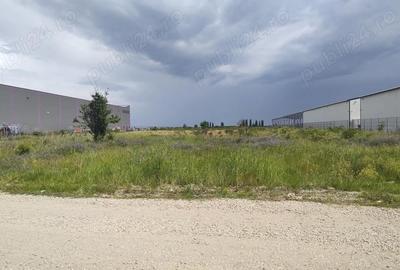 Teren de 10000 mp, în Afumați - 5