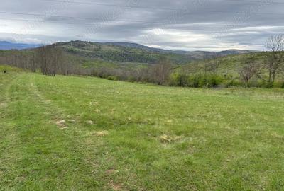 Vand teren zona Carasova! - 1