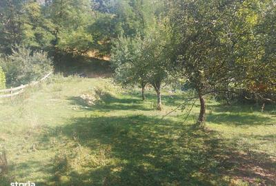 Teren de 1784 mp, în Avram Iancu - 6