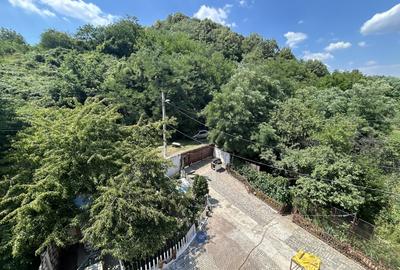 VAND O VILA IN PADUREA DIN FILIPESTI - 22