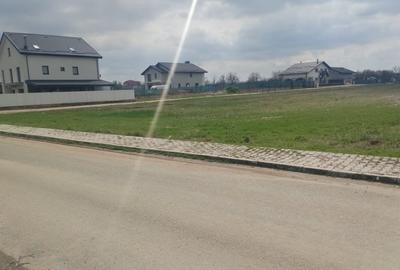 Teren Construcții intravilan de 450 mp, în Dragomirești-Vale - 3