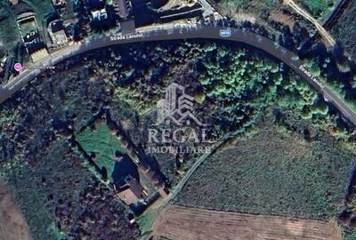 Teren Construcții intravilan de 770 mp, în Cinciș-Cerna - 4