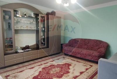 Casa  de vanzare in Dragu  jud. Salaj  teren 1400 mp. - 6