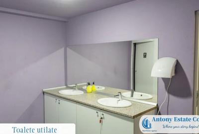 Spațiu comercial, de 195 mp, în Budureasa - 6