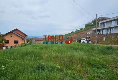 Teren de 1000 mp, în Micești