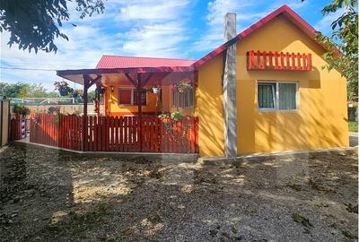 Casa Individuala | Sat Costesti - 2