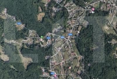 Teren de 5219 mp, în Făget