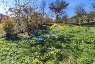 Teren intravilan de 774 mp, în Provița de Jos - 1