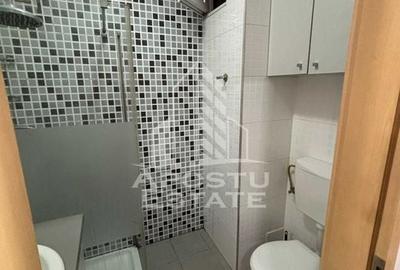 Apartament cu o camera,renovat complet, zona  Elisabetin - 6