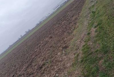 Teren de 25000 mp, în Căteasca - 3