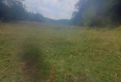 Teren de 12330 mp, în Baia de Fier - 4