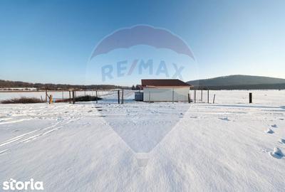 Teren de 4300 mp, în Sânpetru - 11