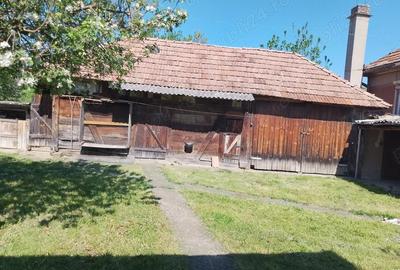 Casă cu 2 camere în Sânmihaiu Almașului - 7